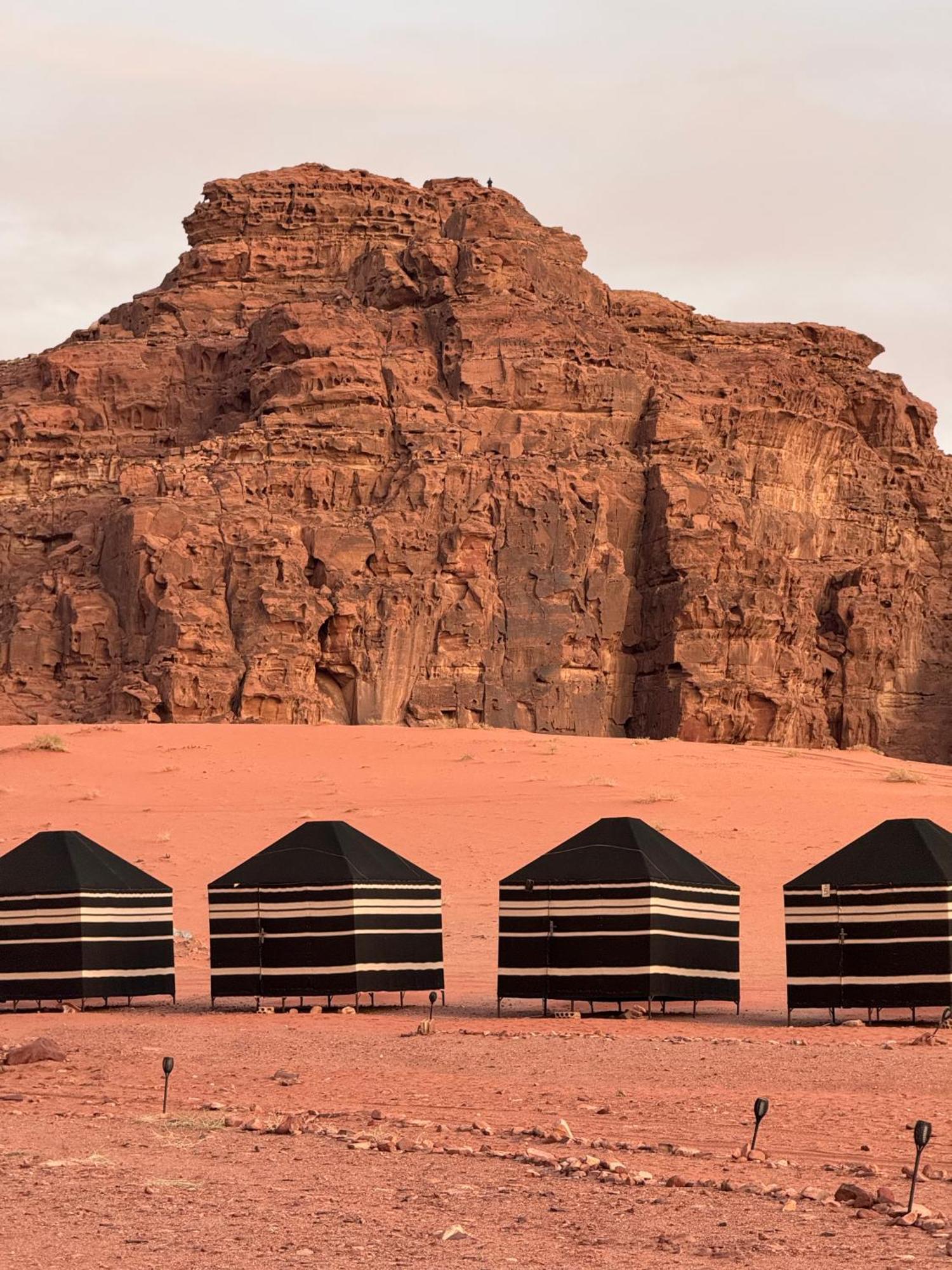 Desert Bird Camp วาดิรัม ภายนอก รูปภาพ