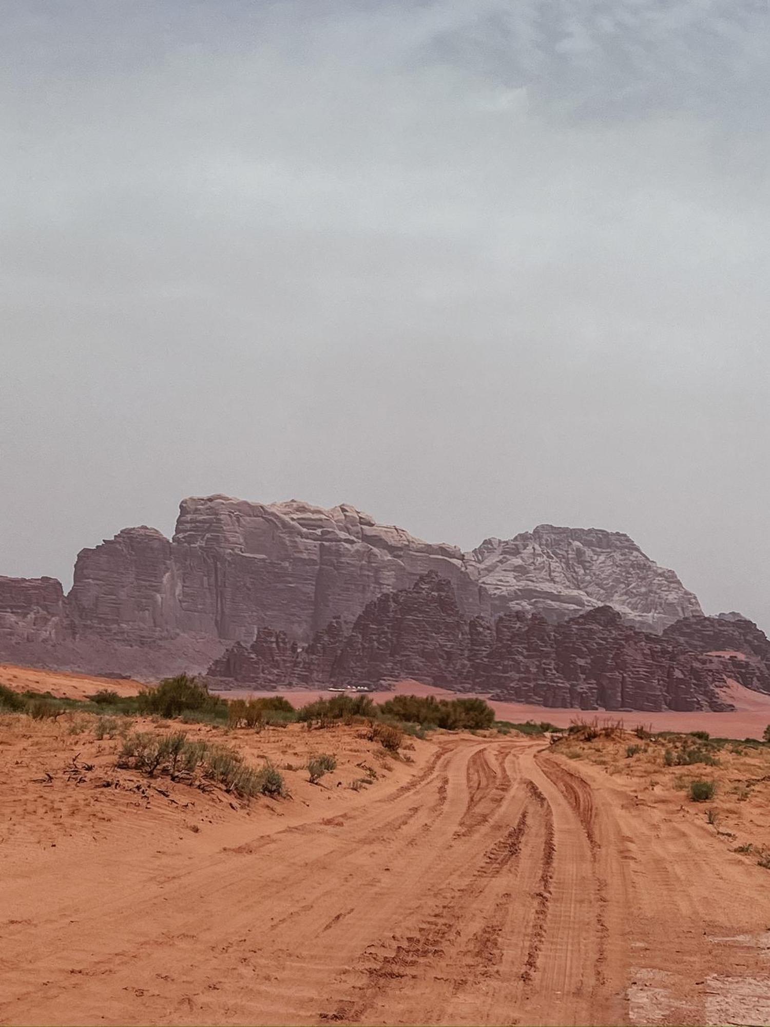 Desert Bird Camp วาดิรัม ภายนอก รูปภาพ